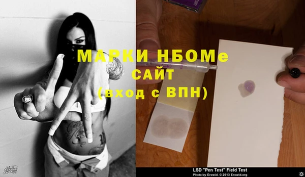 крисы Белокуриха
